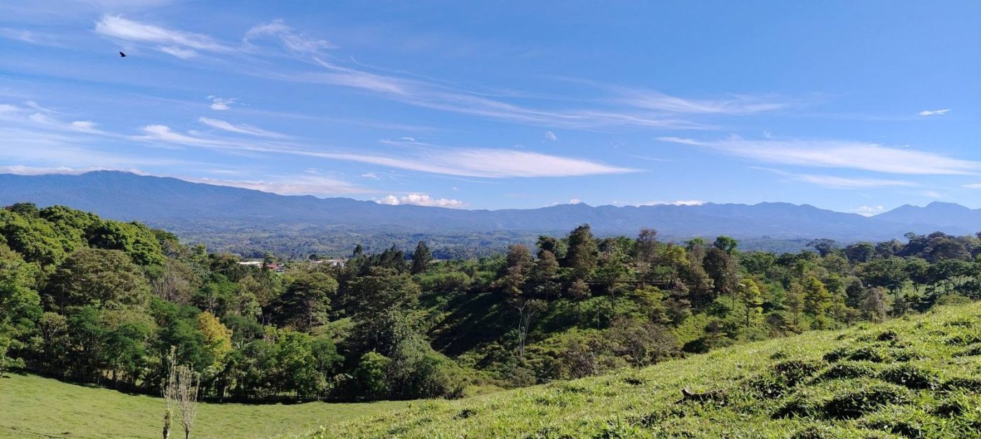 Terreno de 7 ha con vistas al Volcán Barú en San Vito