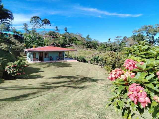 Casa con jardín y frutales en 3.290 m² cerca de San Vito