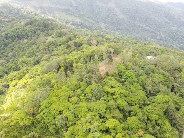 Terreno de 3 ha con vistas de 360° cerca de Ciudad Neily