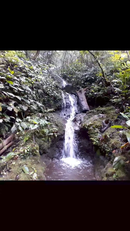 Exelente  propiedad de 11 hectáreas con cascadas, zonas de pasto, bosque y fácil acceso.
