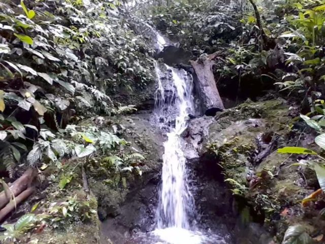 Exelente  propiedad de 11 hectáreas con cascadas, zonas de pasto, bosque y fácil acceso.
