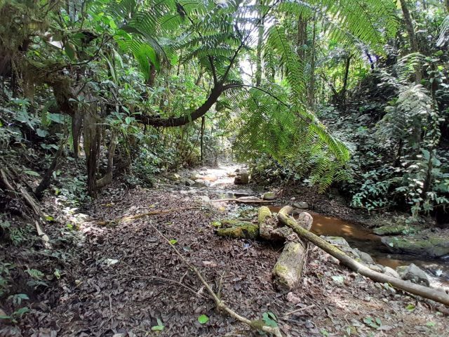 Terreno de 4,7 ha con naciente, río y cataratas cerca de San Vito