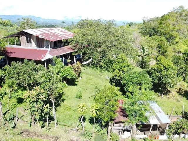 Finca de 10,3 ha con cabina, río y naciente en el sur de Costa Rica