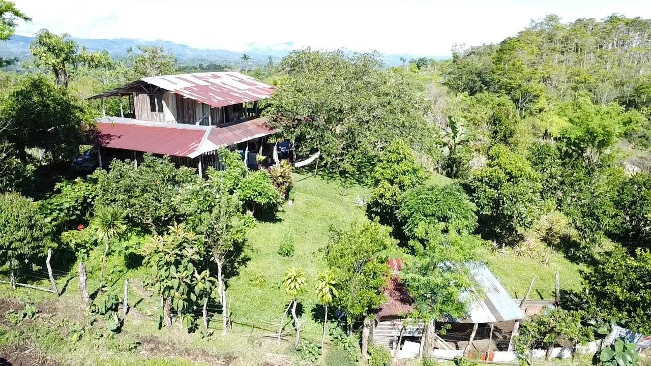 25 acres, pasture, river, great peace, cabin
